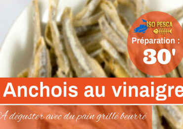 Anchois au vinaigre - Recette de poisson par ISO PESCA 1070 Bruxelles Belgique