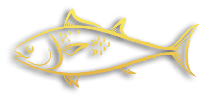 Meilleur poissonnier et livraison rapide - Vendeur grossiste poissons - ISO PESCA Bruxelles Belgique