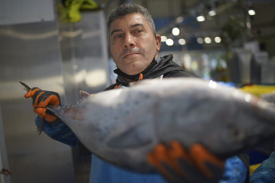 Poissonnier - Vendeur de poisson. ISO Pesca Bruxelles