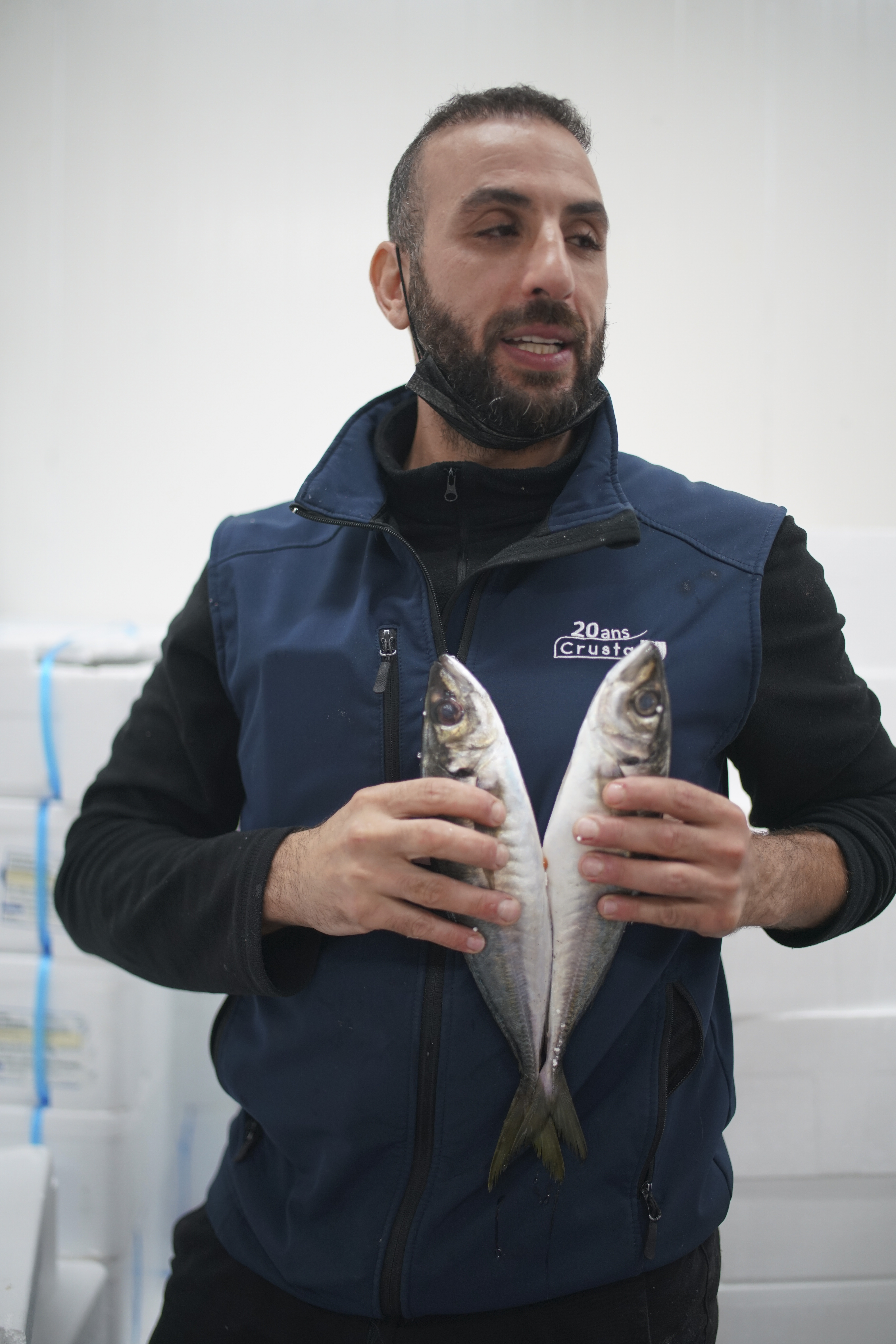 Vendeur de poissons et fruits de mer pour Professionnel